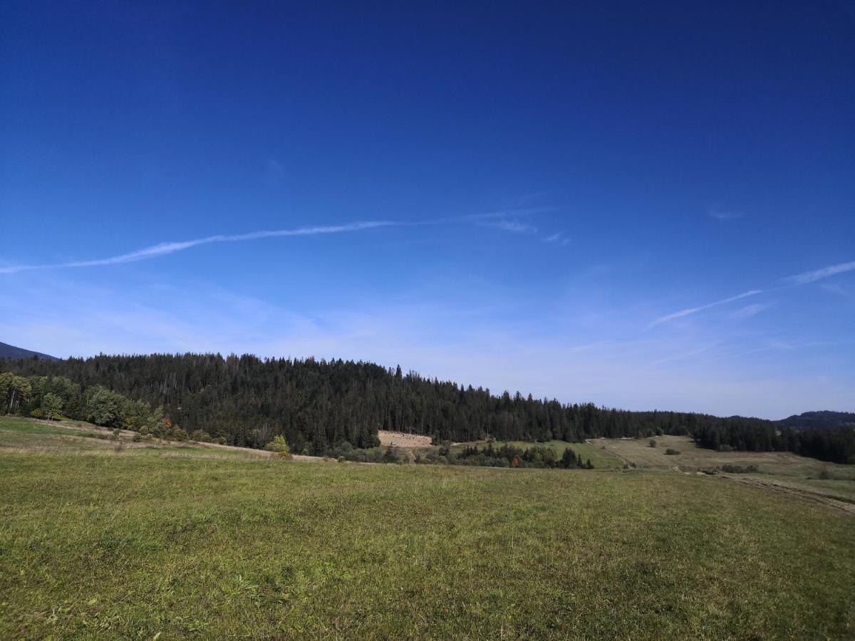 Villa Na Dziole Lipnica Wielka Esterno foto